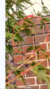 Screenshot_20261003-210647.png