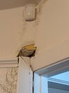 IMG_0714.jpeg