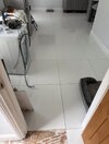 IMG_4699.jpeg