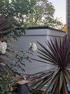 PXL_20261005_171957160.MP.jpg