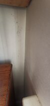 IMG_20260124_132446.jpg