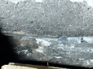 IMG_20261009_083252.jpg