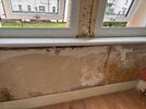 IMG_0117.jpeg
