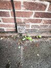 IMG_20261010_121948.jpg