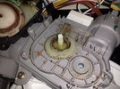 divvalve1.jpg divvalve1.jpg