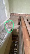 IMG_6578.jpeg