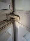 IMG_5163.jpeg
