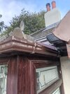 IMG_20261014_090018480.jpg