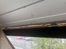 IMG_4289.JPEG