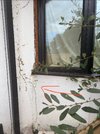 IMG_4286.JPEG
