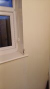 IMG-20261016-WA0007.jpeg