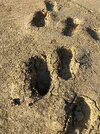 IMG_4024.JPG