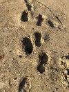 IMG_4023.JPG