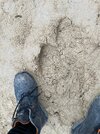 IMG_4018.JPG