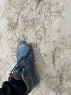 IMG_4016.JPG