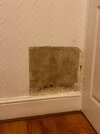 IMG_6713.jpeg