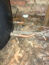 IMG_2401.jpeg