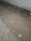 20261030_105741.jpg