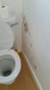 toilet wall damp.jpg