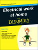 electrical work for Dummies.png
