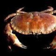 crabman1