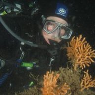 Divegirl