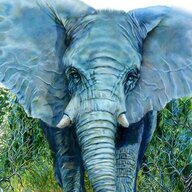BlueElephant