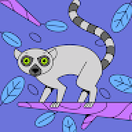 funkypanda