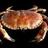 crabman1