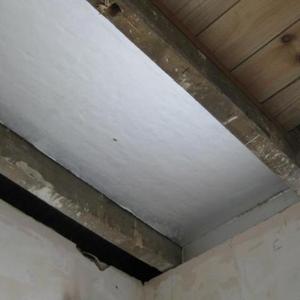 braychurchmouse album