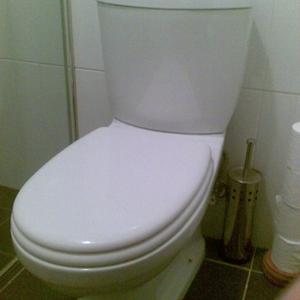 My Toilet insides
