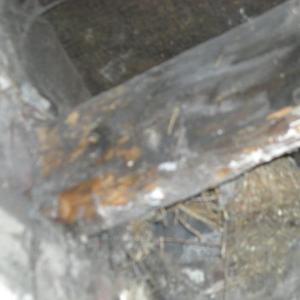 Front Bedroom Ceiling