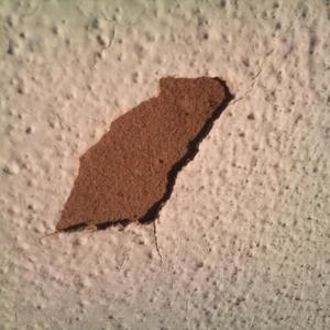 Masonry paint ? or rendering 