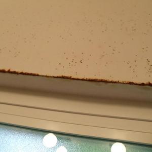 bathroom window bead rusting