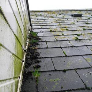 Roof tiles
