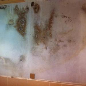 Damp in Kitchen