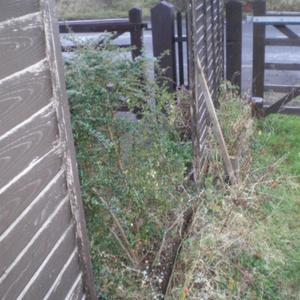 Garden Fence