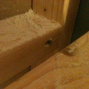 interior wall wood cavity