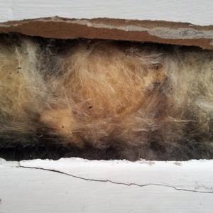 Insulation