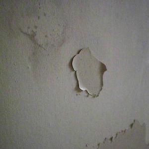 Flaky paint on plasterboard