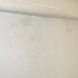 Damp Under Window