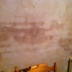Damp patches 