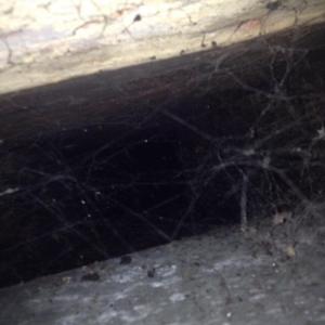 Opening the fireplace