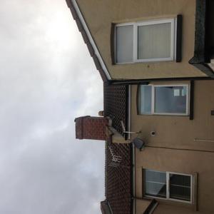 Loft, wet purlins and brick walls