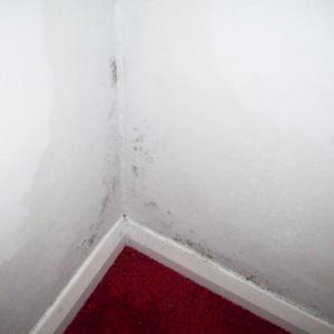 DAMP WALLS