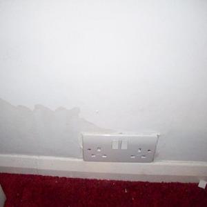 Lurking behind the bed