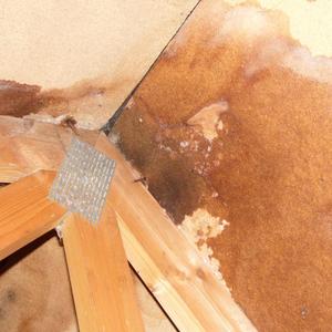 Damp Roof pic-ys