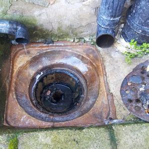 smelly drain 