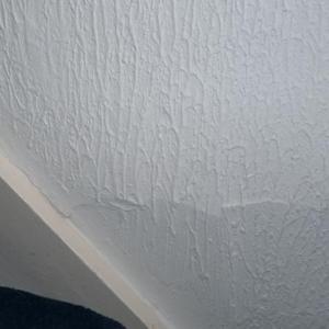 Plaster repair