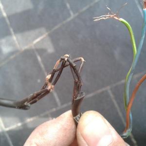 ceiling mounted fittings 